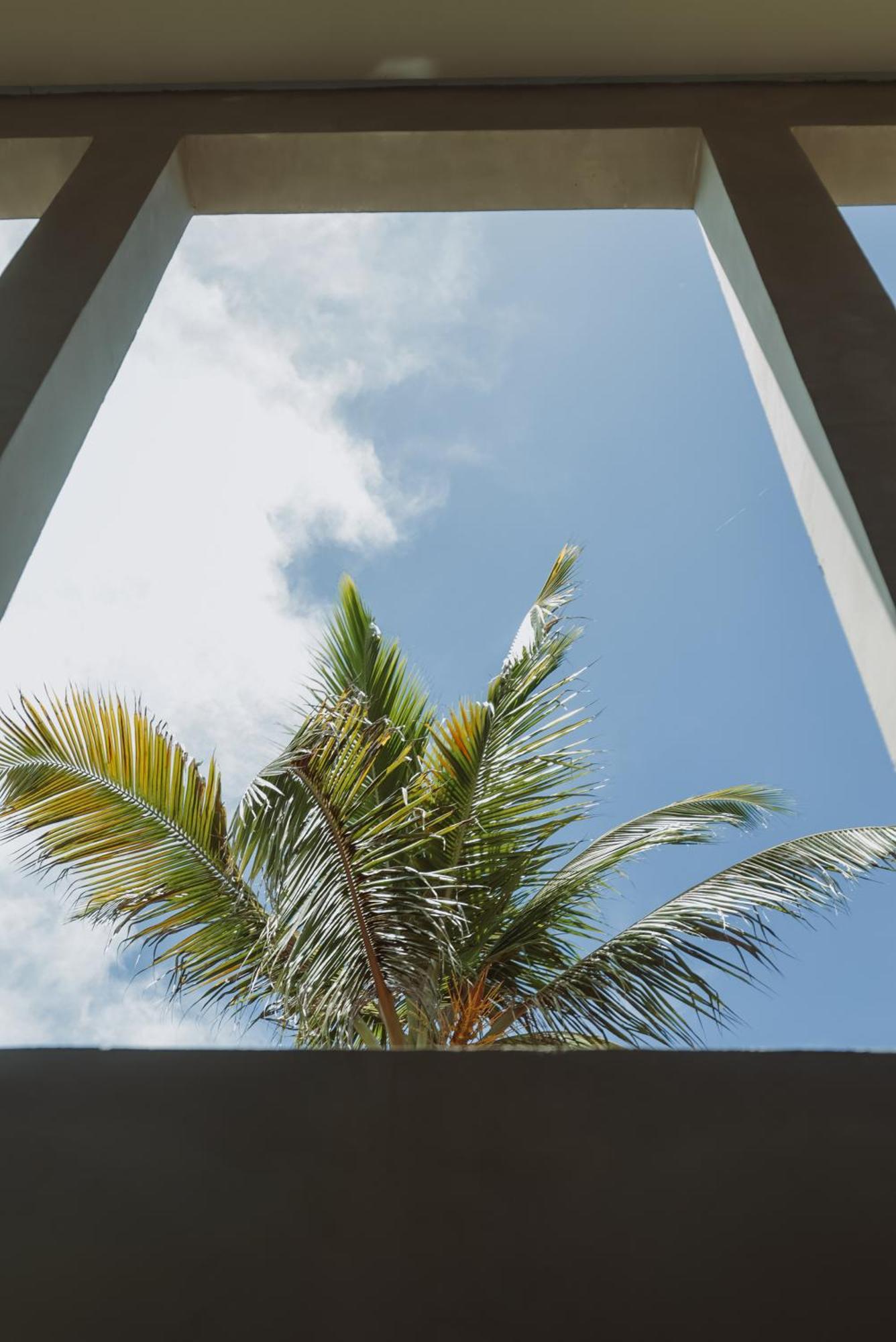 Luau Hotel غاجيرو المظهر الخارجي الصورة