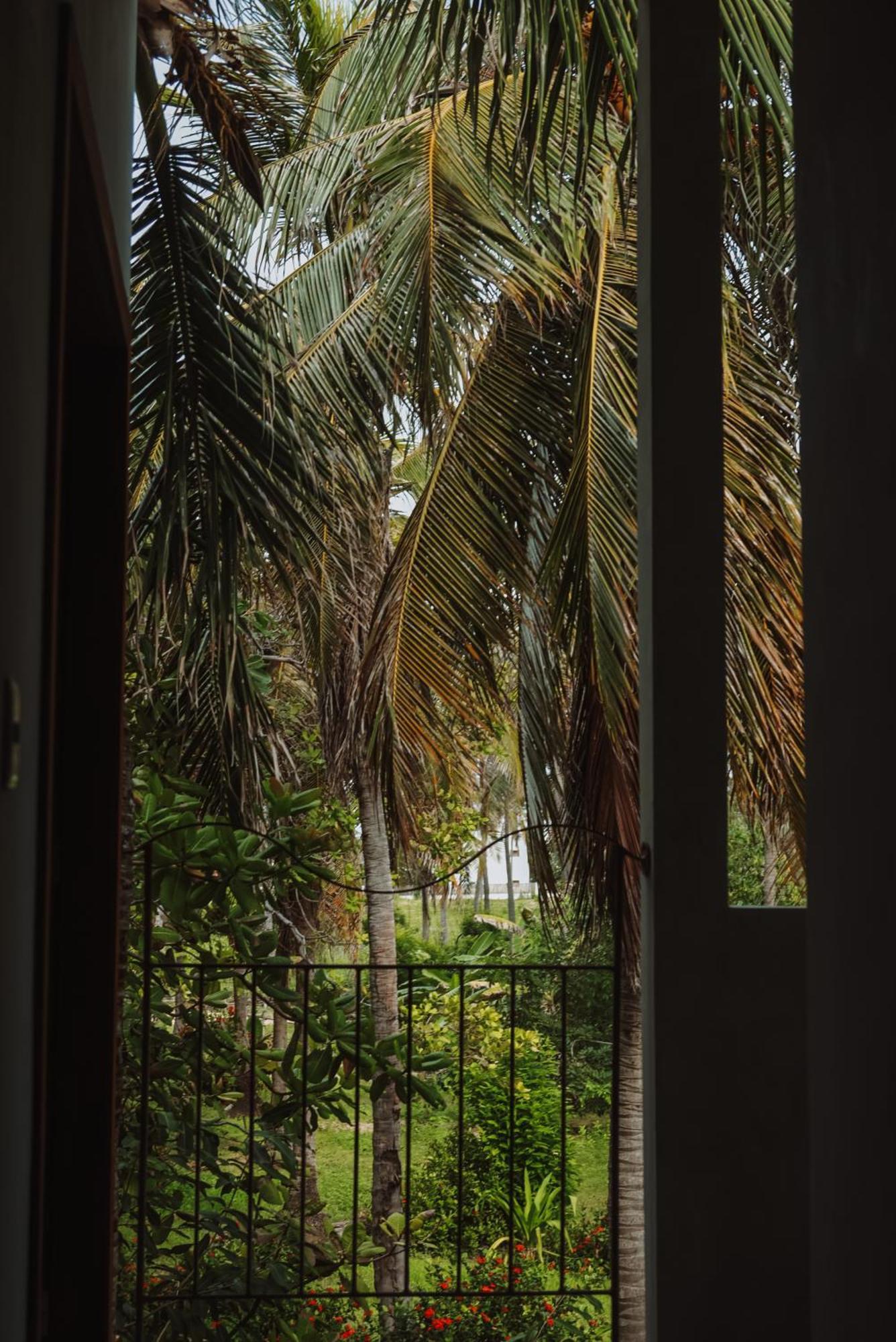 Luau Hotel غاجيرو المظهر الخارجي الصورة