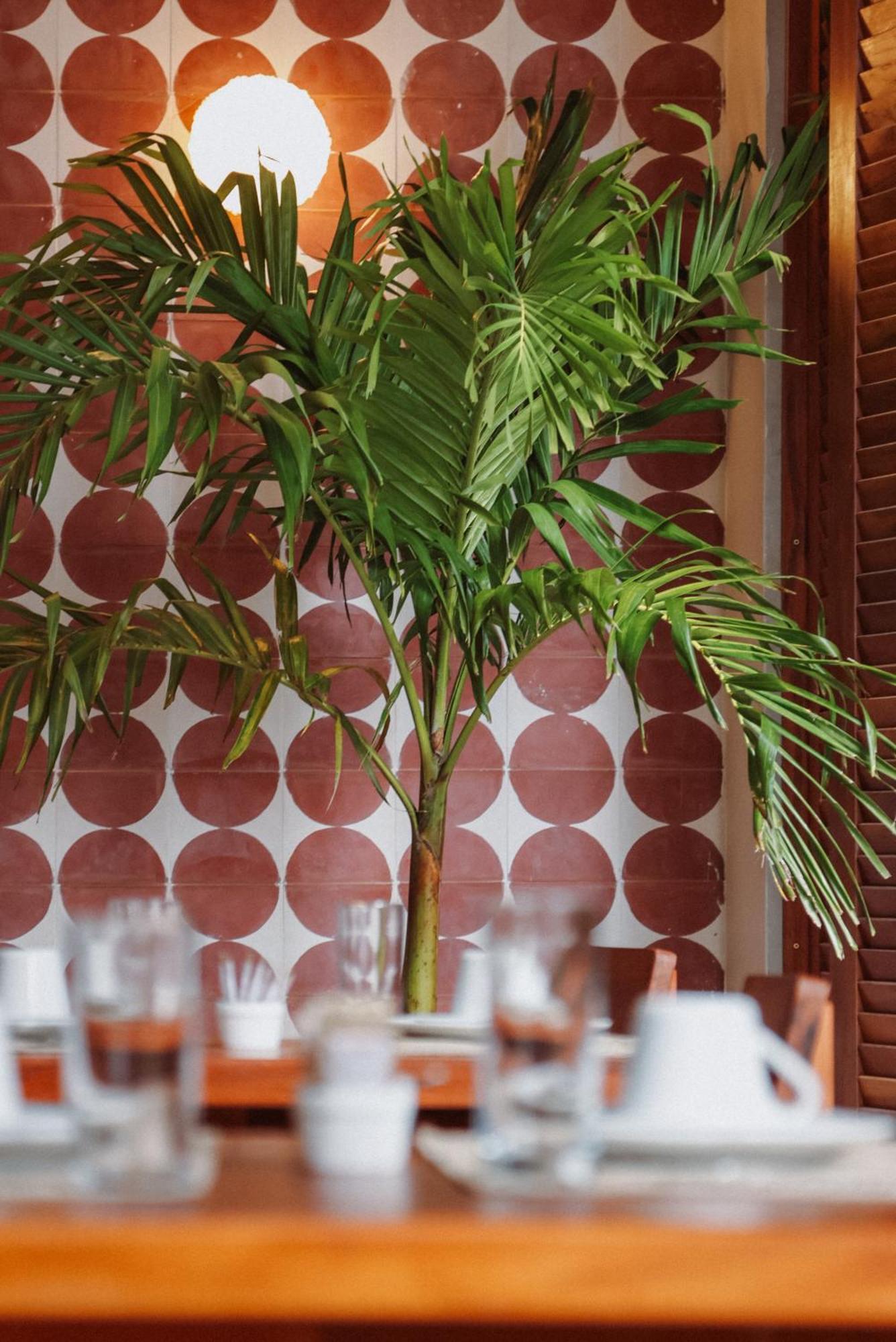 Luau Hotel غاجيرو المظهر الخارجي الصورة