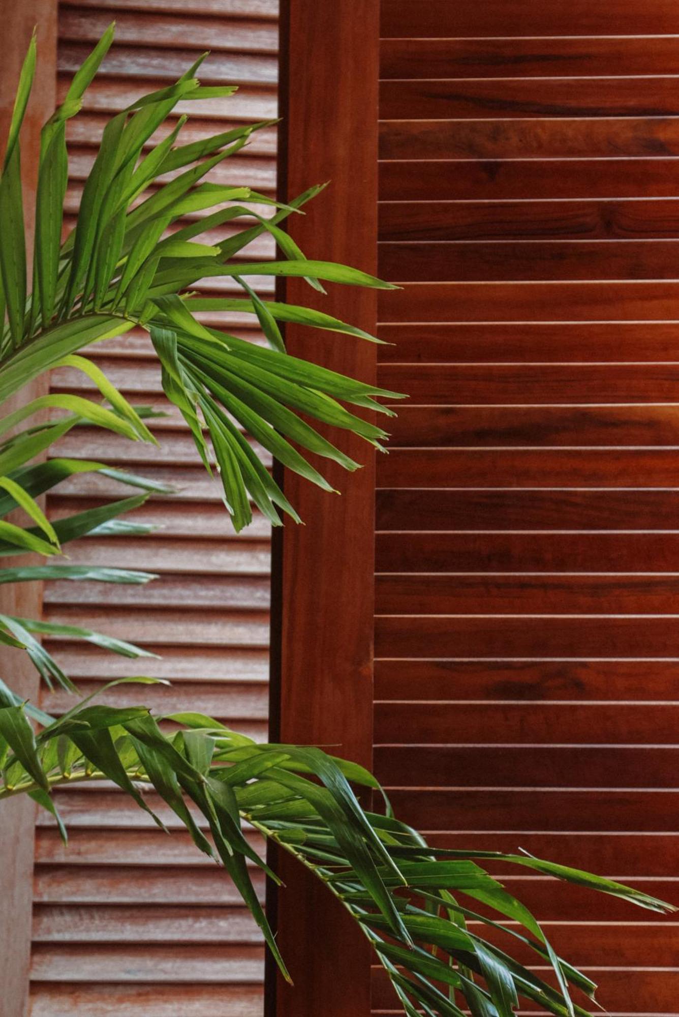 Luau Hotel غاجيرو المظهر الخارجي الصورة