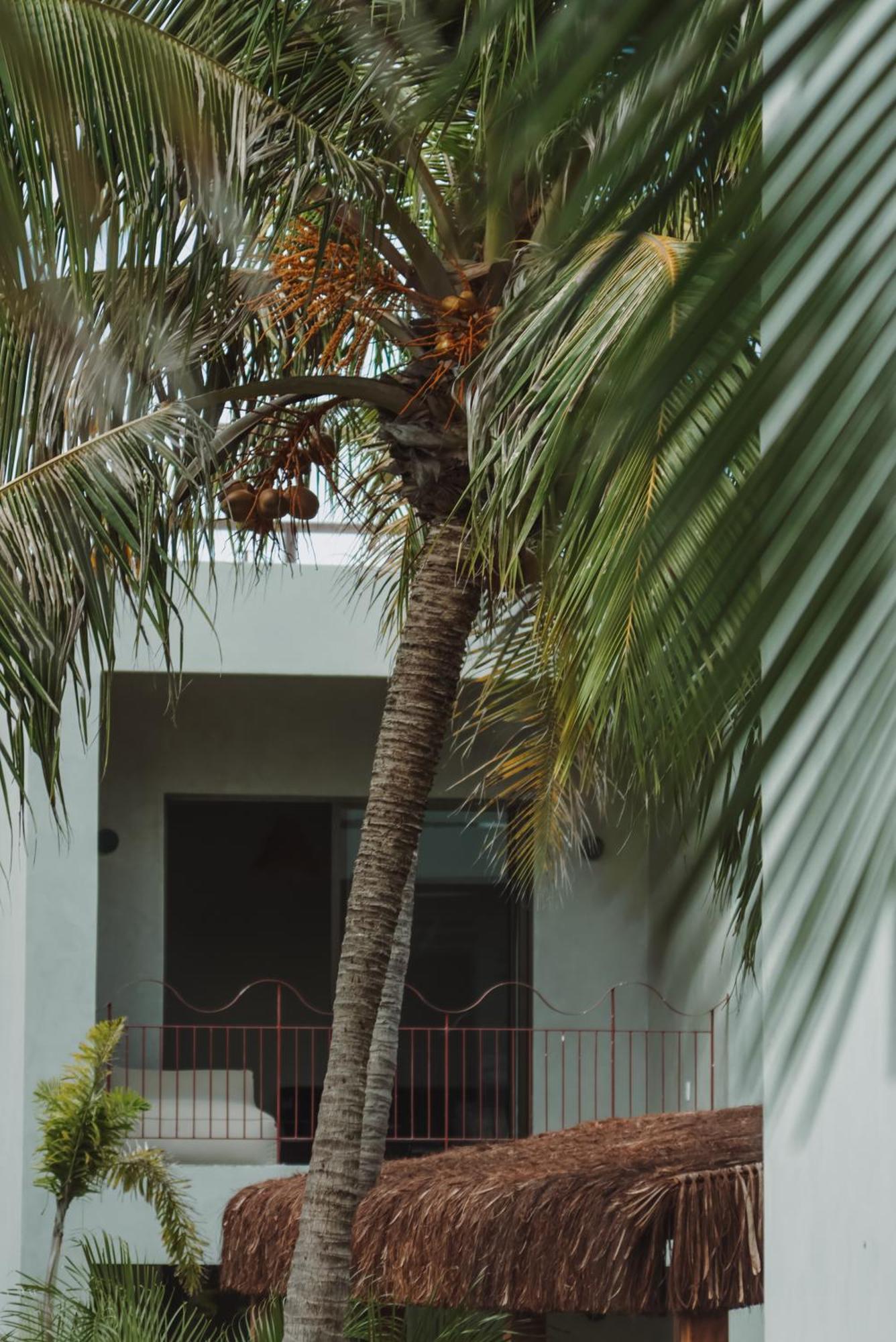 Luau Hotel غاجيرو المظهر الخارجي الصورة